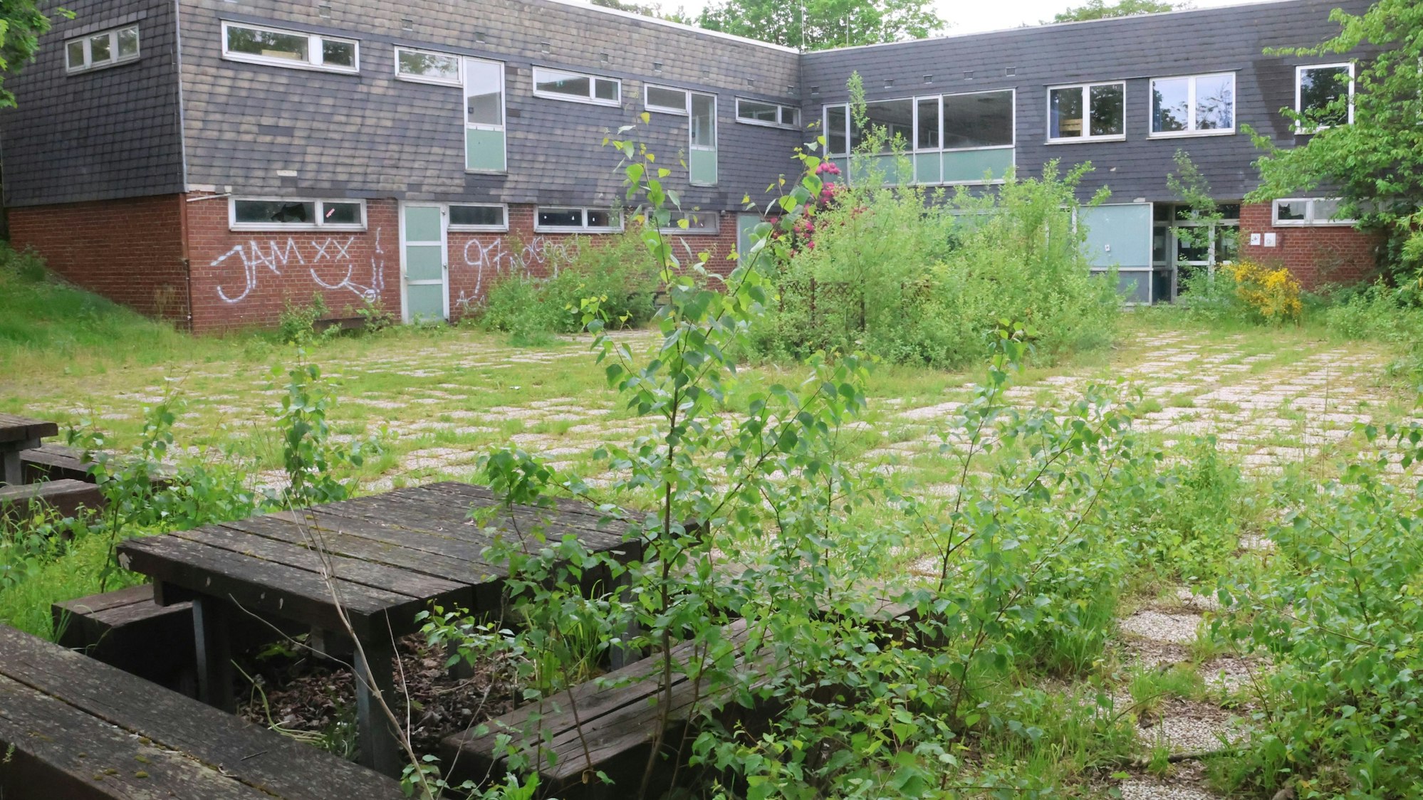 Die Natur hat sich das Gelände der früheren Jugendherberge in Morsbach längst zurückerobert. Jetzt könnte sich eine neue Verwendung für die seit Jahren leerstehenden Gebäude an der Oberen Kirchstraße abzeichnen.