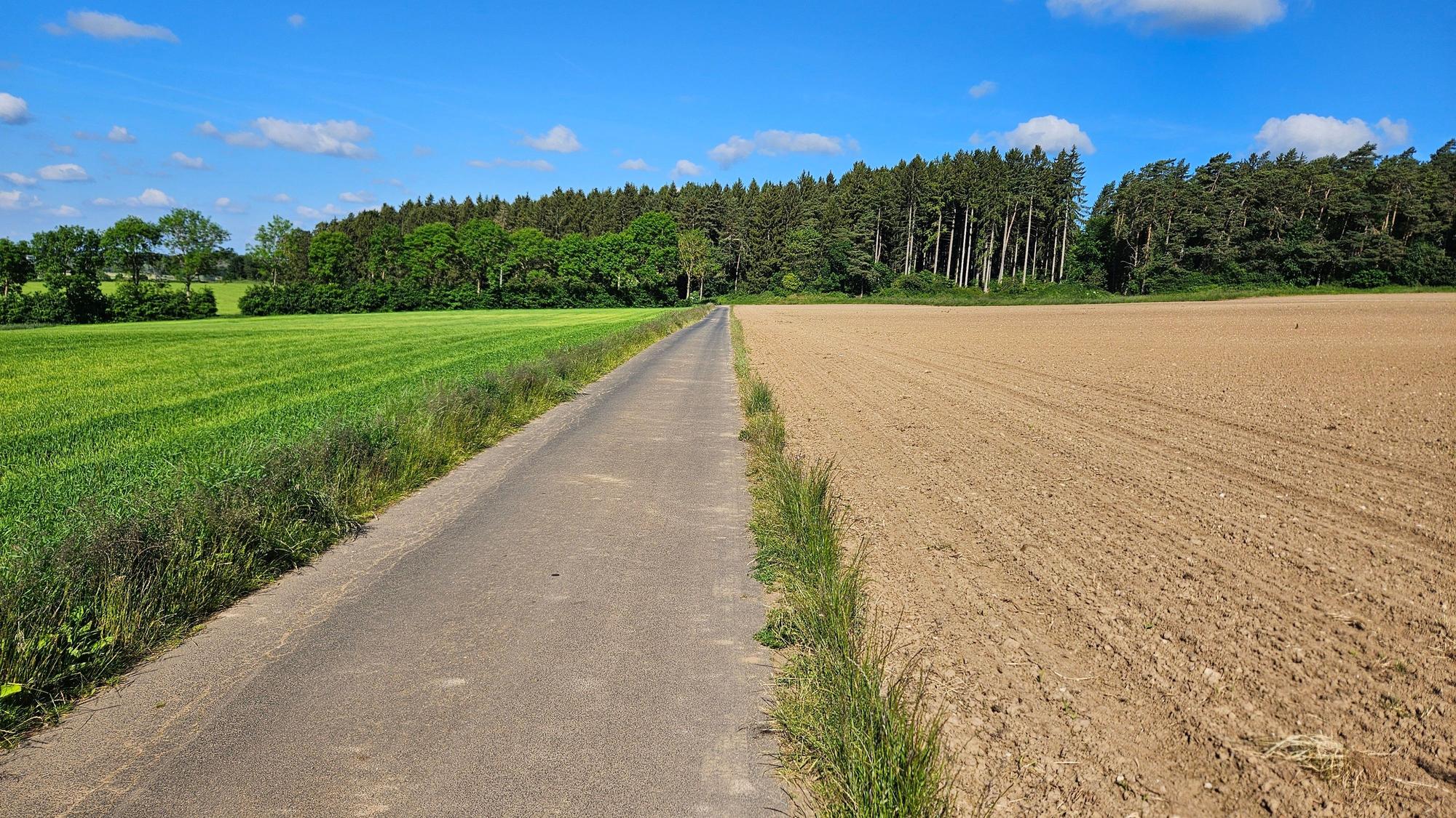 Blick auf ein umgepflügtes Feld mit einem schmalen Streifen mit Pflanzen an der Seite.