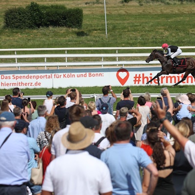 Union-Sieger 2023: Straight startet bei seinem Saisondebüt beim Grossen Preis von Baden Baden.