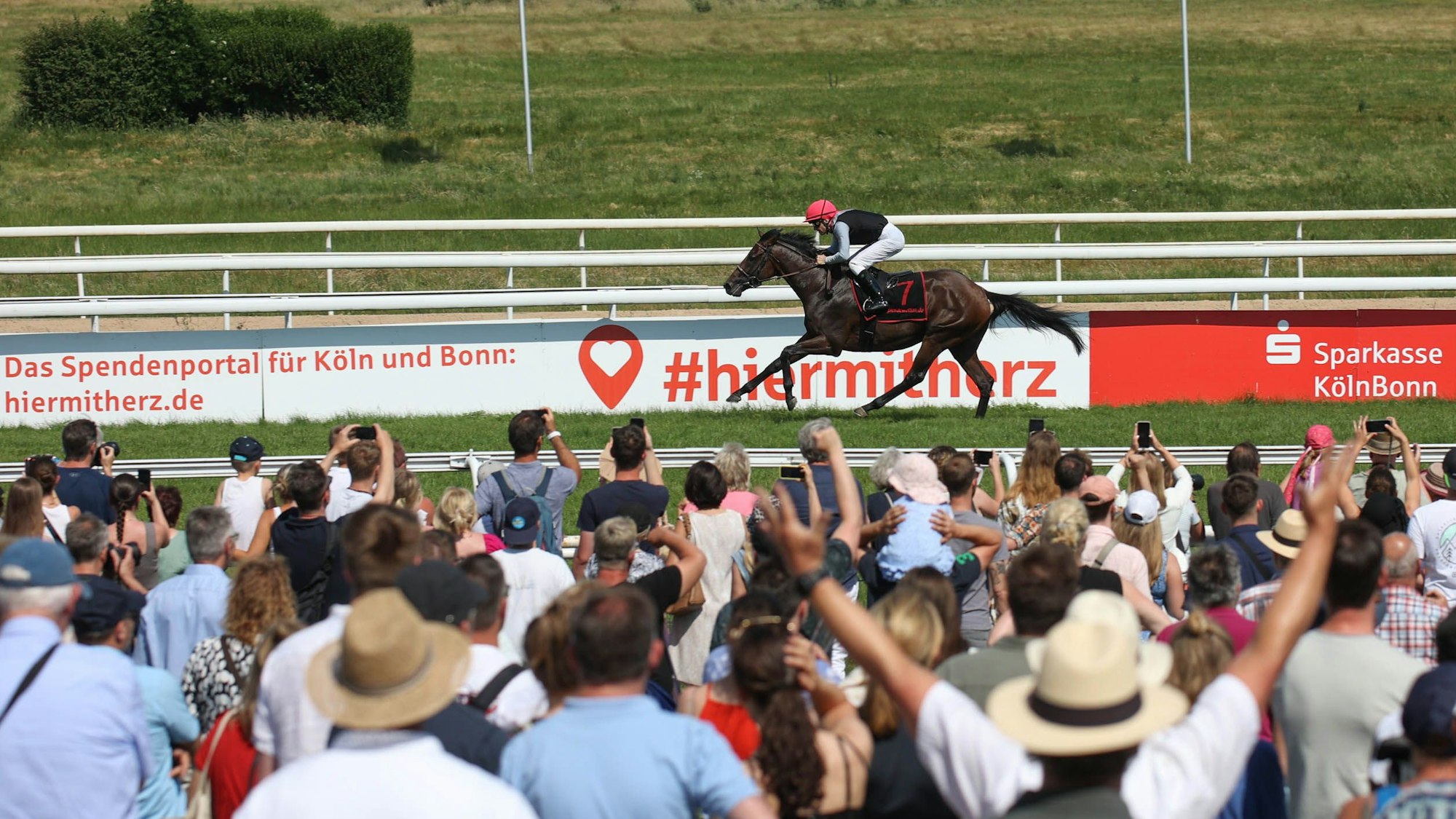 Union-Sieger 2023: Straight startet bei seinem Saisondebüt beim Grossen Preis von Baden Baden.