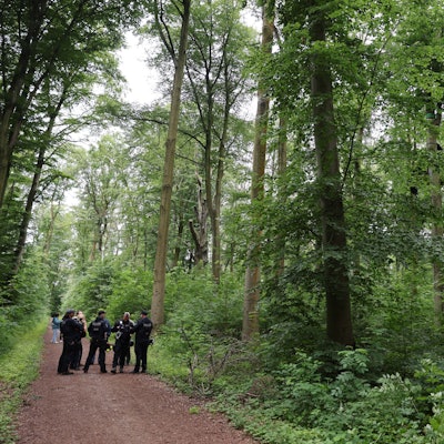 Baumbesetzer im Gremberger Wäldchen.