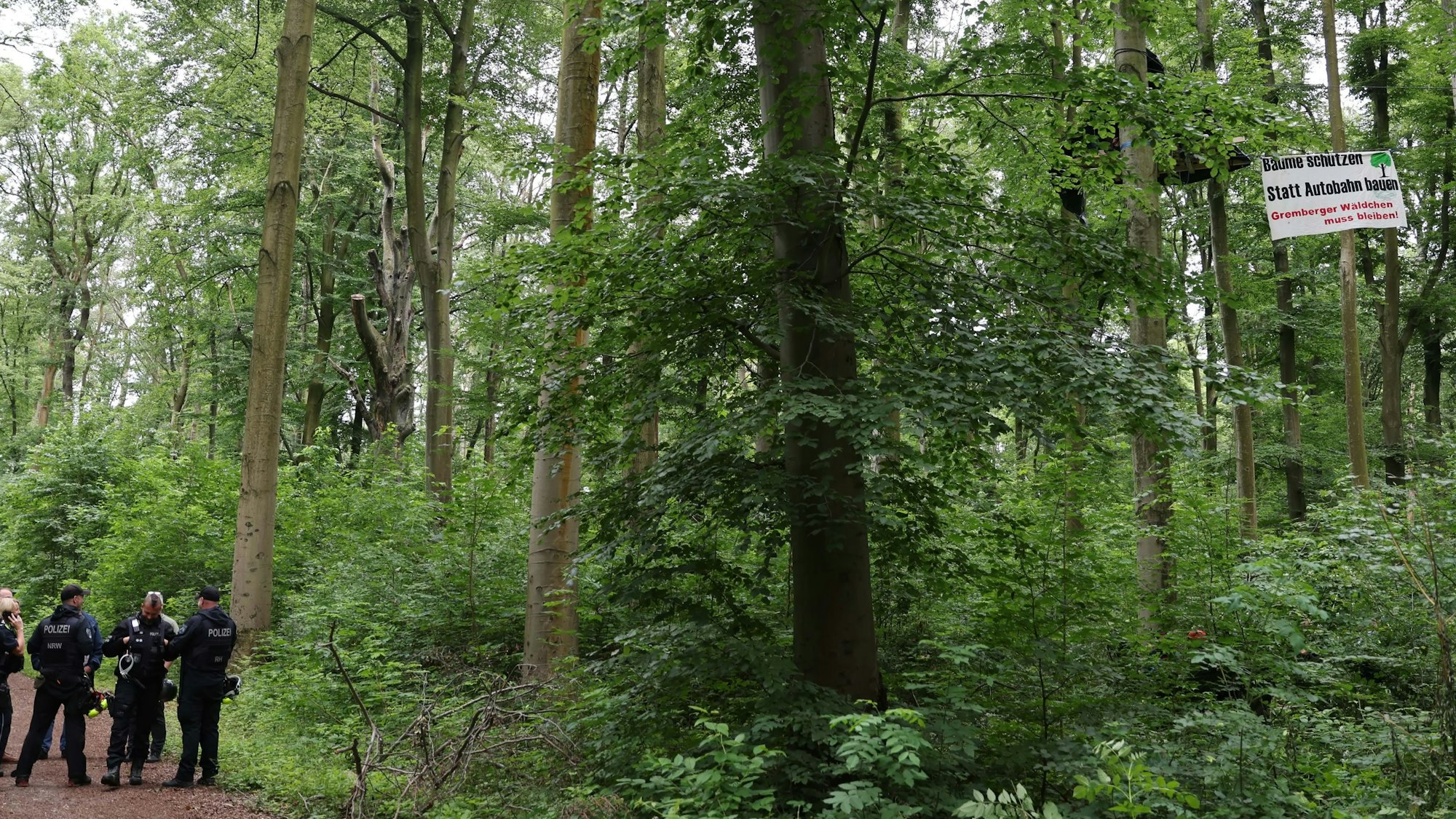 Baumbesetzer im Gremberger Wäldchen.