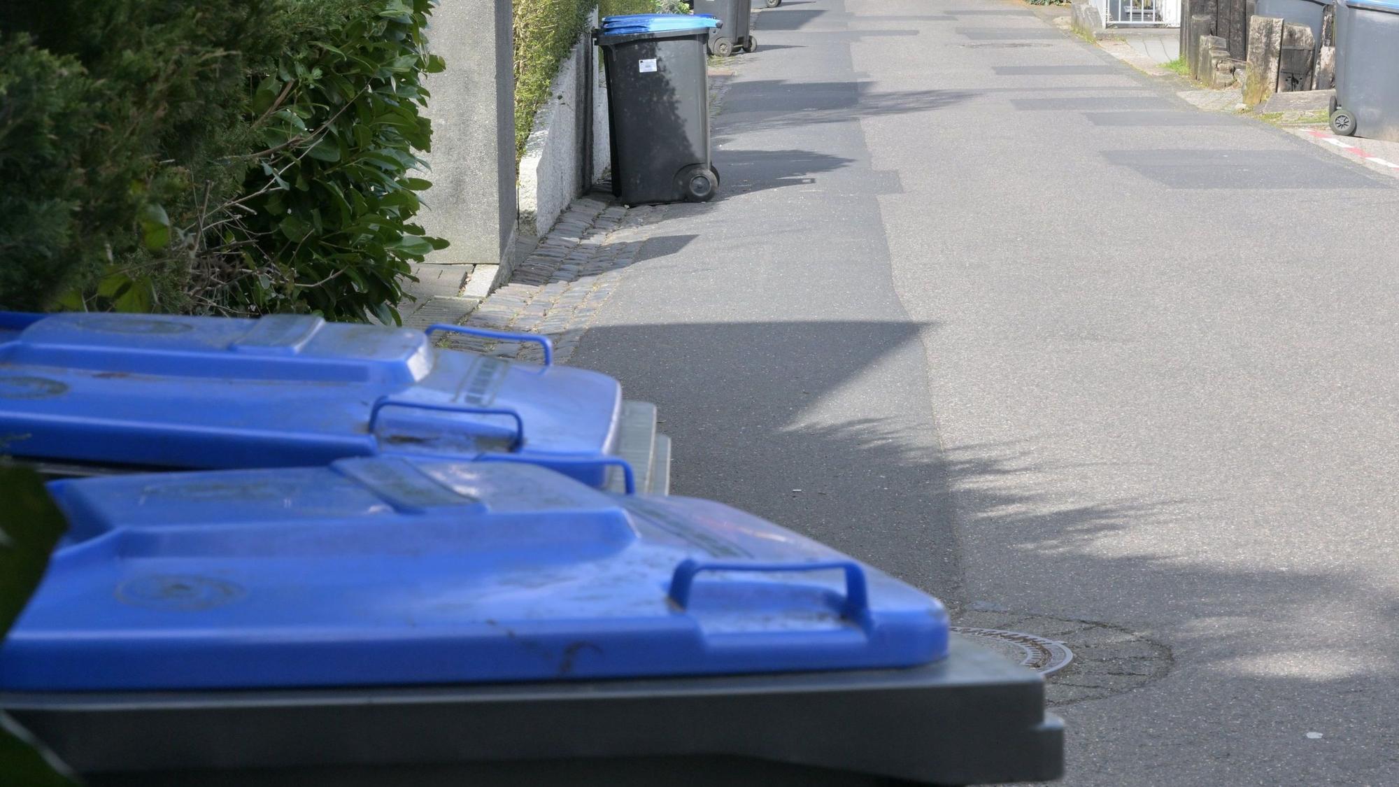 Auf dem Foto sind mehrere blaue Papiertonnen am Straßenrand zu sehen.