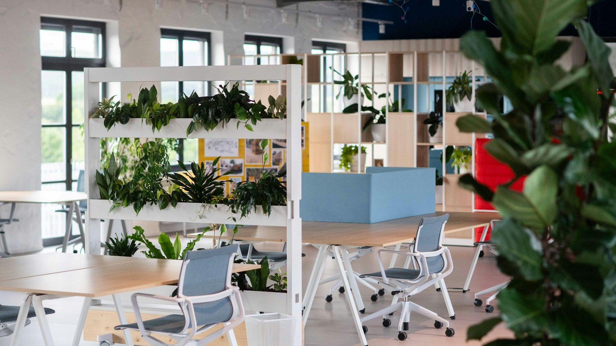 Das Bild zeigt ein innovatives und helles Büro.