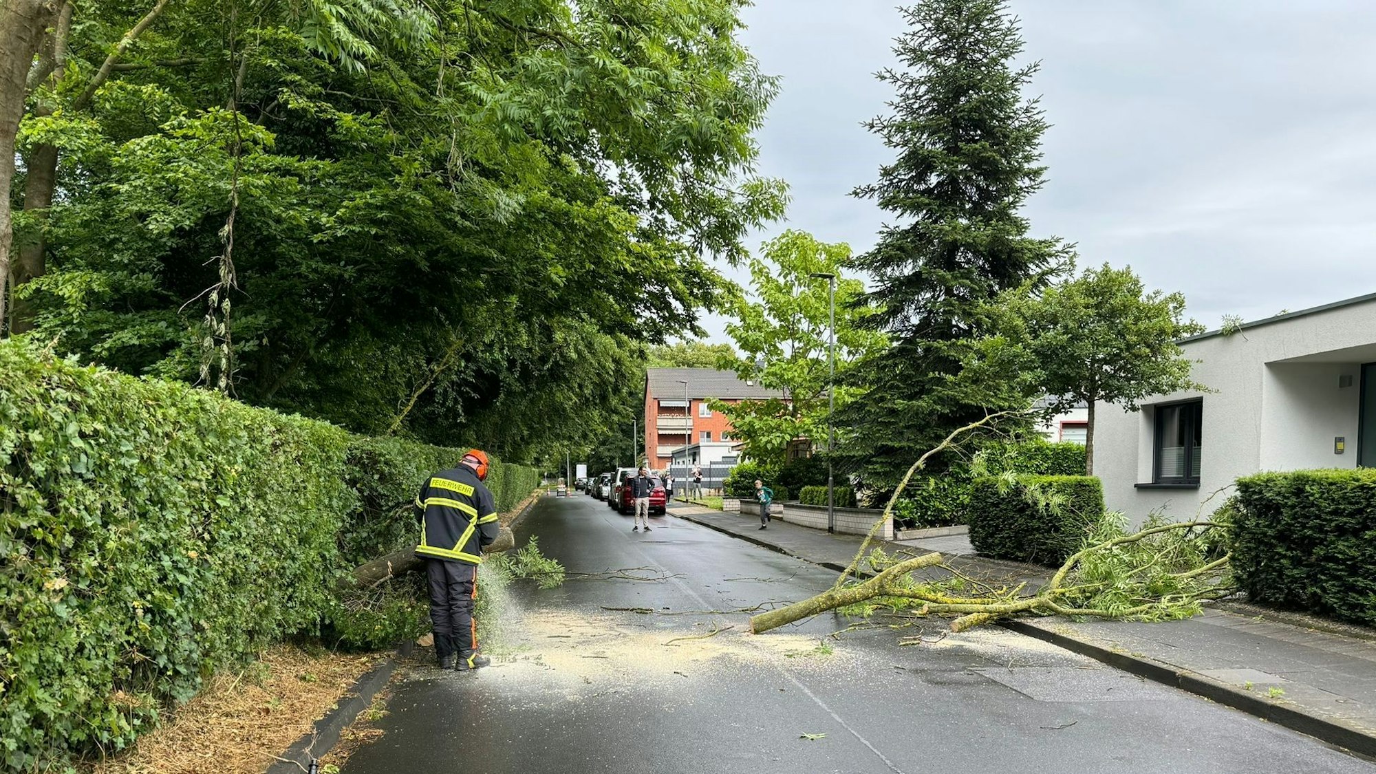 Auf dem Foto ist ein umgestürzter Baum auf einer Straße zu sehen.