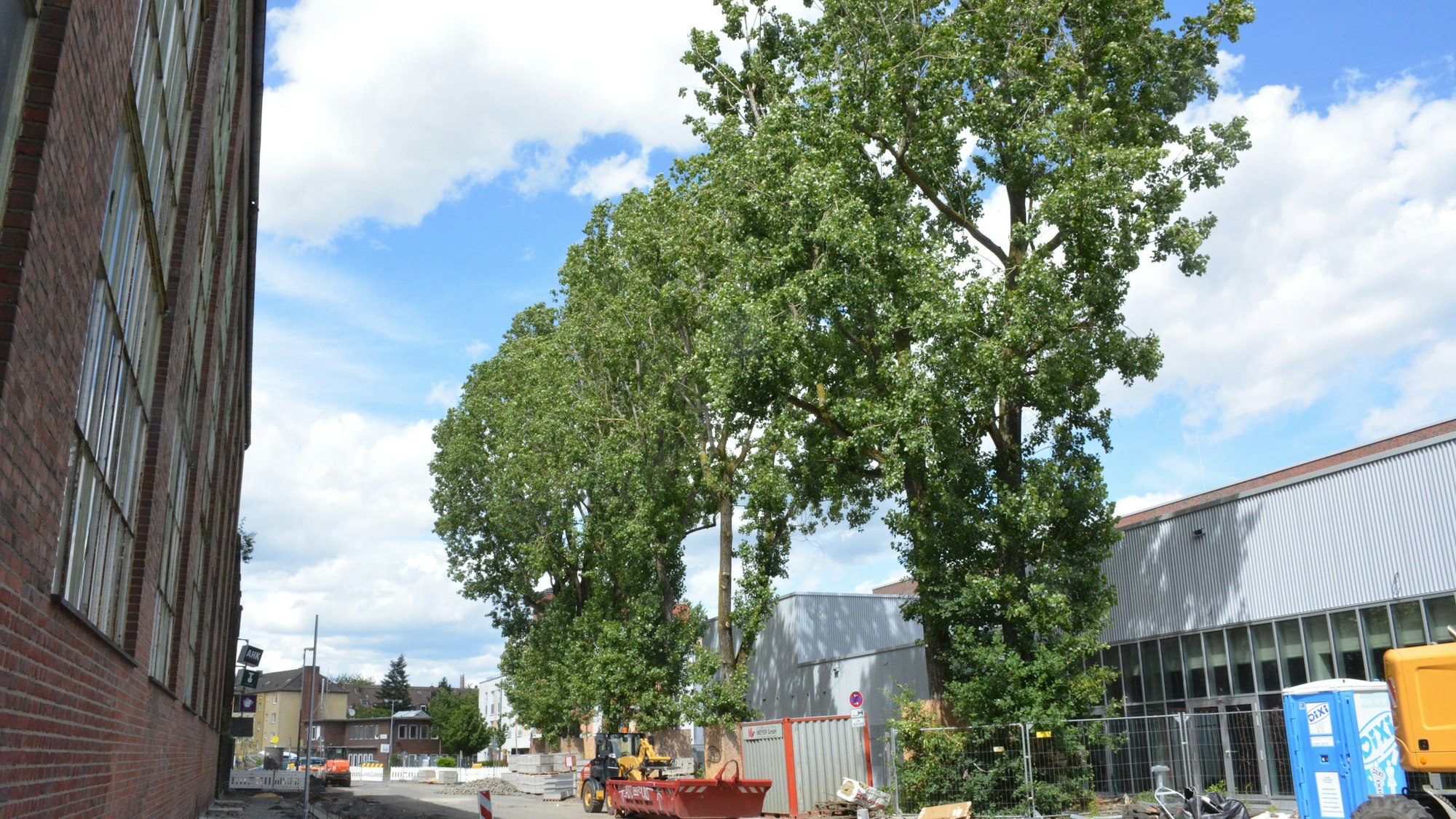 Hochgewachsene Bäume stehen vor einem Neubaugebäude.