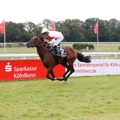 Auf und davon: „Narrativo“ lässt mit Jockey Adrie de Vries im Sattel der Konkurrenz beim 189. Union Rennen nicht den hauch einer Chance.