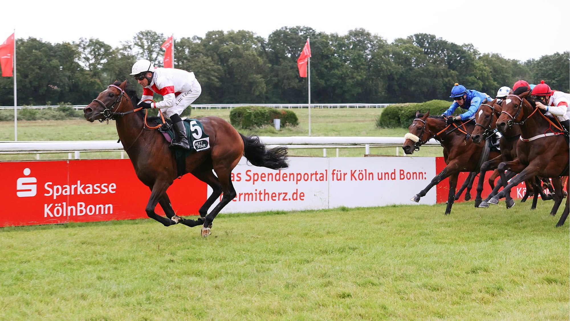 Auf und davon: „Narrativo“ lässt mit Jockey Adrie de Vries im Sattel der Konkurrenz beim 189. Union Rennen nicht den hauch einer Chance.