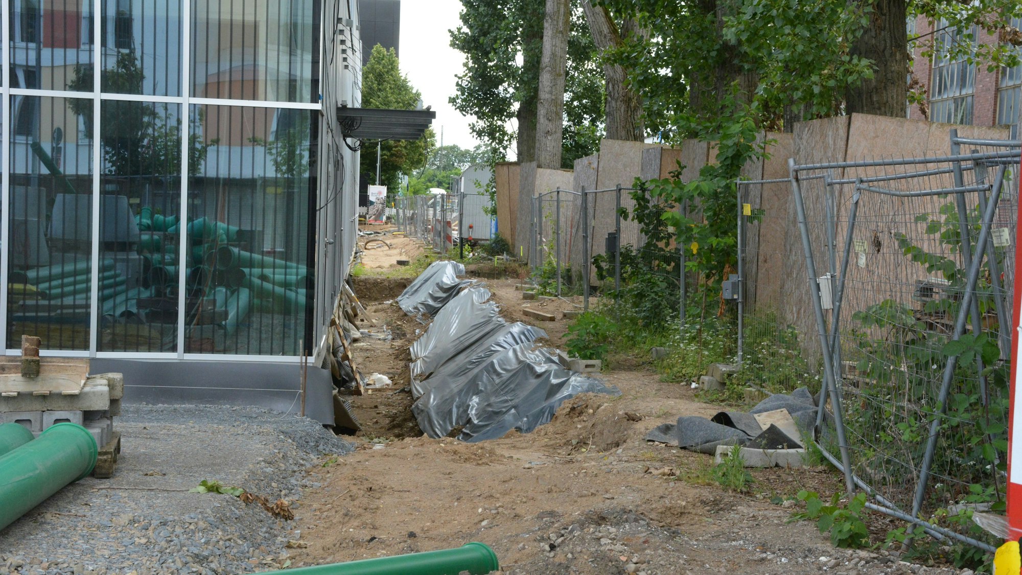 Bäume stehen sehr nah neben einem Neubau.