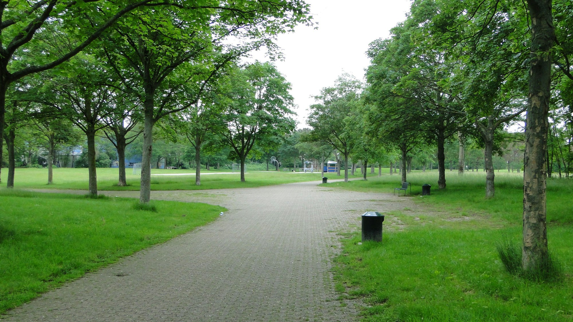 Vor allem auf den Kreuzungen und Platzflächen breitet sich grüner Bewuchs auf der Pflasterung aus.
