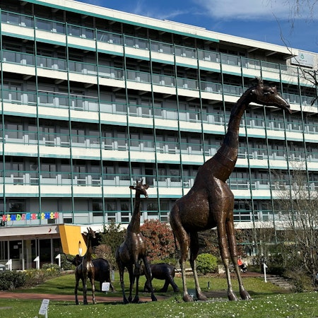 Blick auf die Asklepios Kinderklinik.