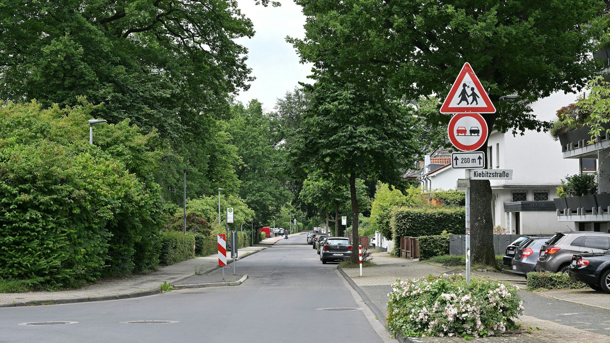 Das Foto zeigt die Taubenstraße im Gladbacher Stadtteil Alt-Frankenforst