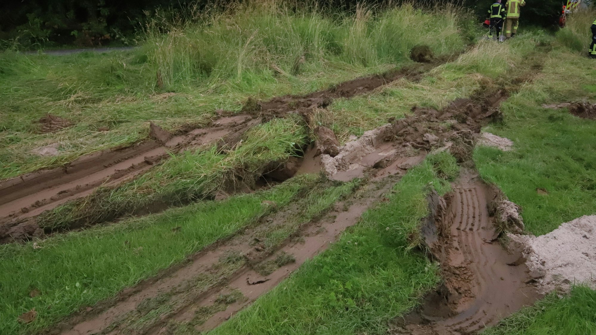 Tiefe, schlammige Rillen im grünen Rasen.