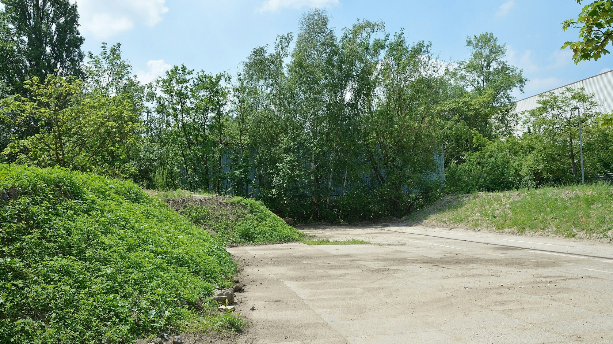 Das Foto zeigt das Gelände, auf dem die Grundschule entstehen könnte