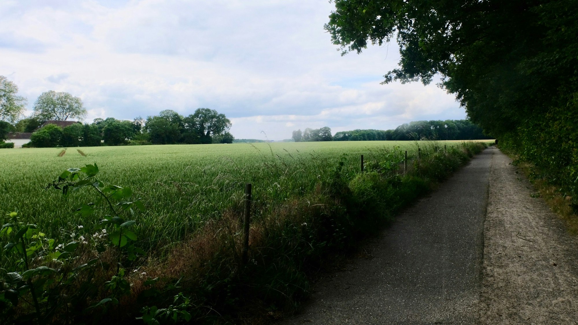 Kölnpfad Etappe 2
Auch am Landschaftspark Belvedere führt die Etappe 2 des Kölnpfads vobei.