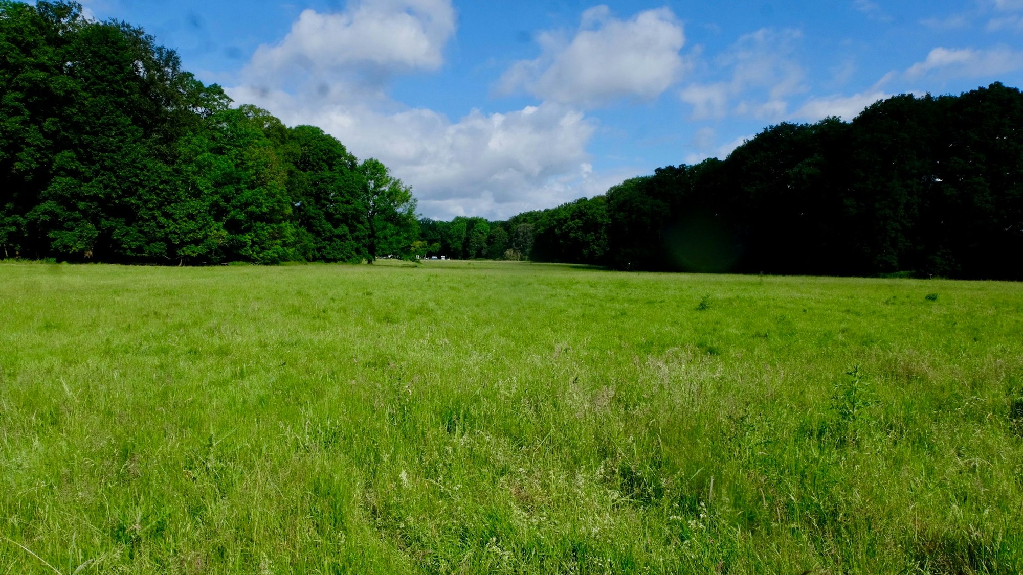 Kölnpfad Etappe 2
Um die Gleueler Wiese streiten sich der 1. FC Köln, Bürgerinitiativen und Naturschutzverbände.