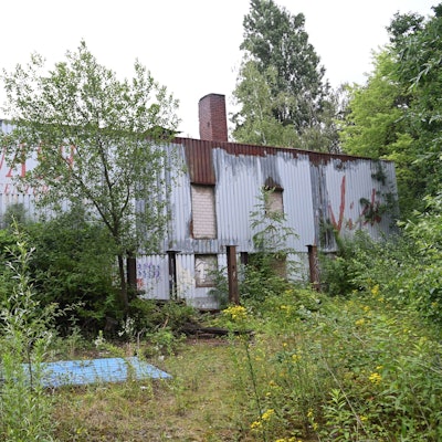 Die Sporthalle mitten im Gestrüpp