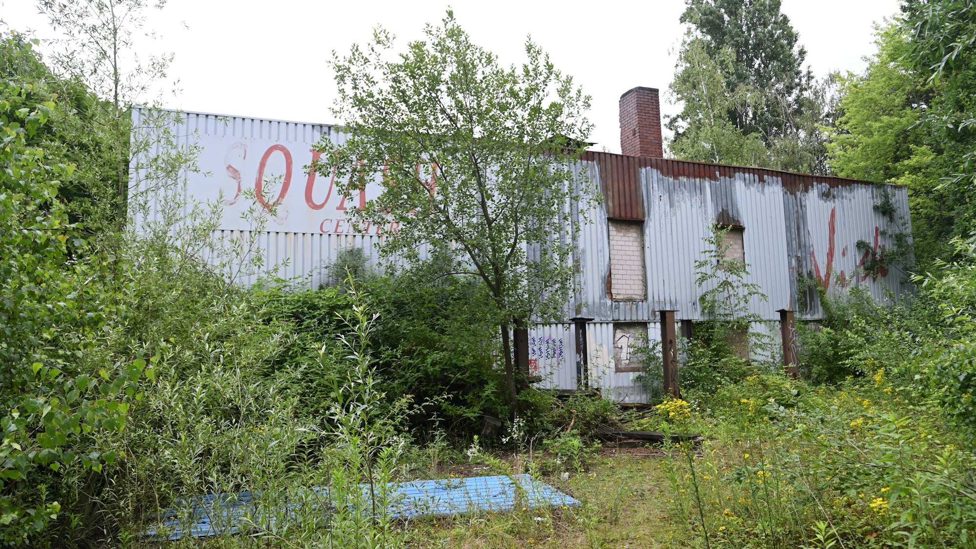 Die Sporthalle mitten im Gestrüpp
