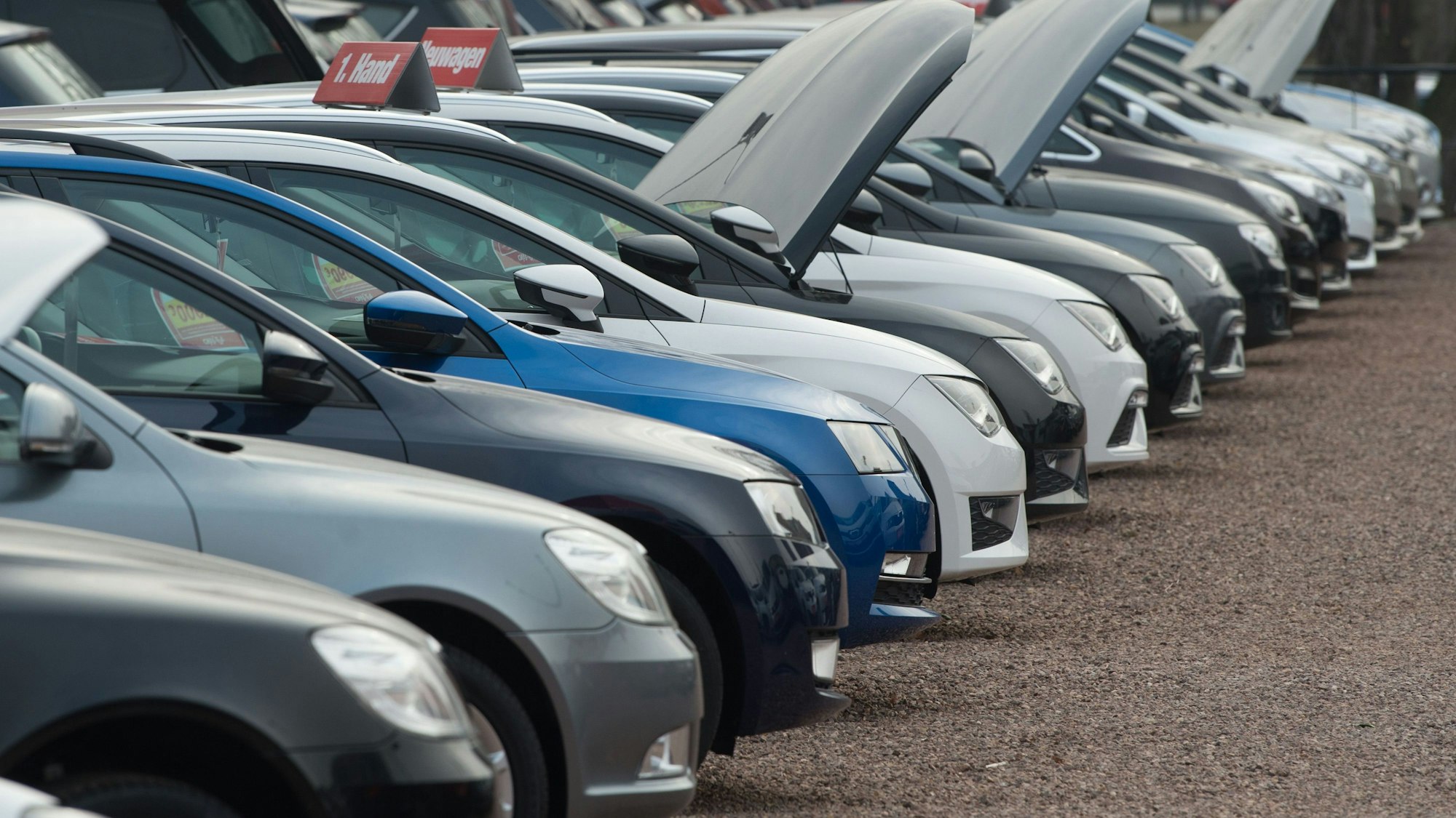 Neu- und Gebrauchtwagen stehen bei einem Autohändler nebeneinander.