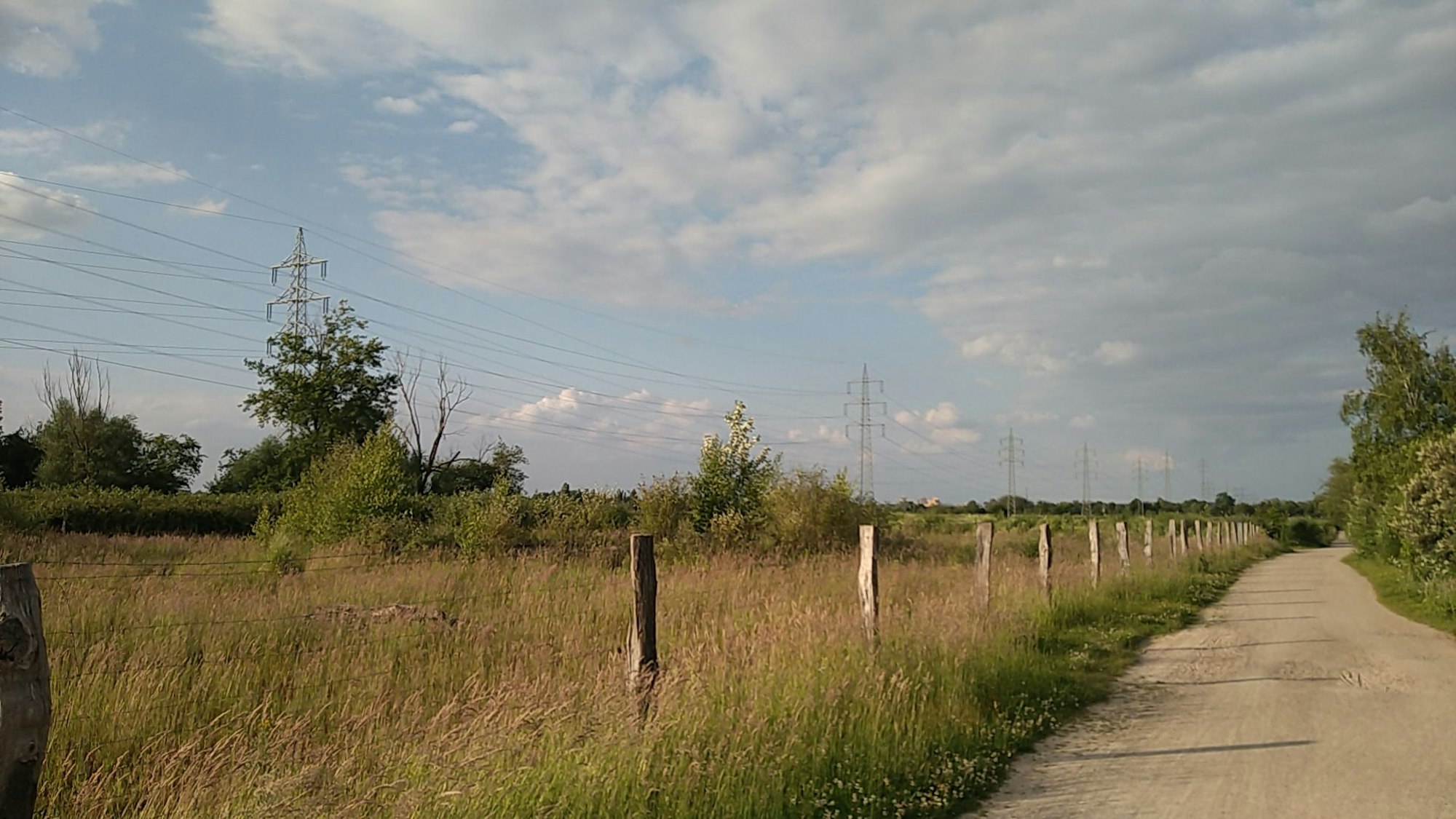 Je weiter man Richtung Norden vorstößt, desto ländlicher wird die Landschaft