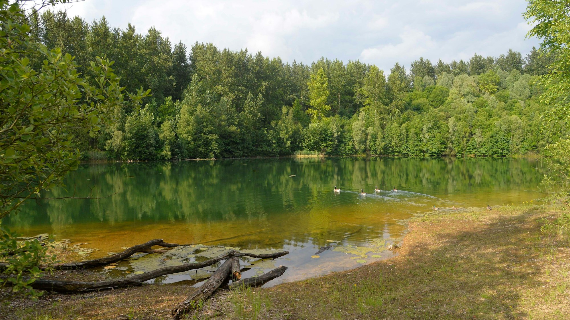 Grube Cox, Naturschutzgebiet.