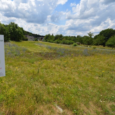 Eine blühende Wiese mit einem Schild: „Blühwiese“
