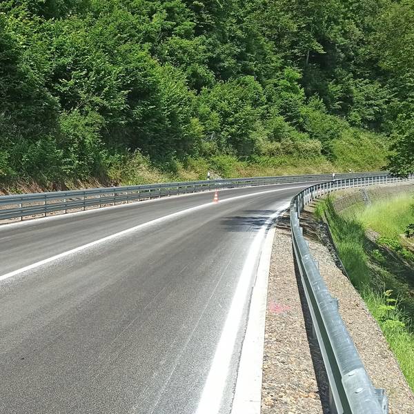 Eine leicht geschwungene Straße mit neuer Markierung und neuen Leitplanken, links ist ein dicht bewachsener Steilhang mit Steinfangzaun.