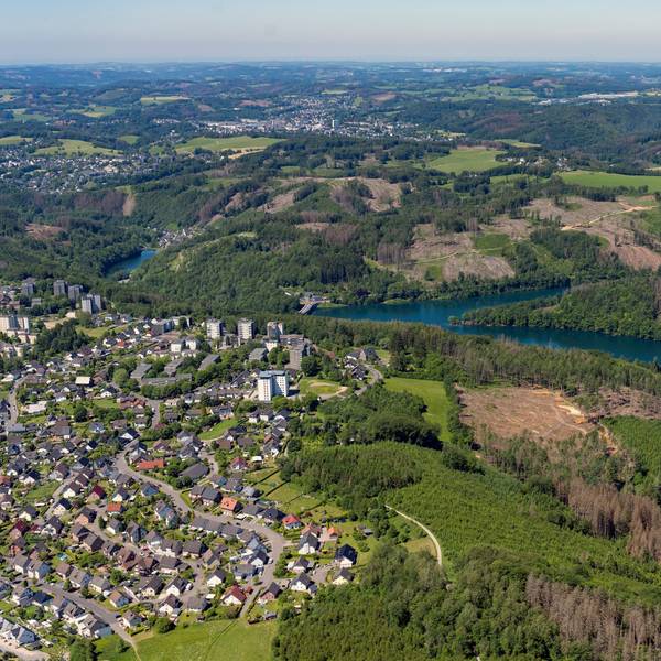Luftbild von ehemaligen Waldflächen.