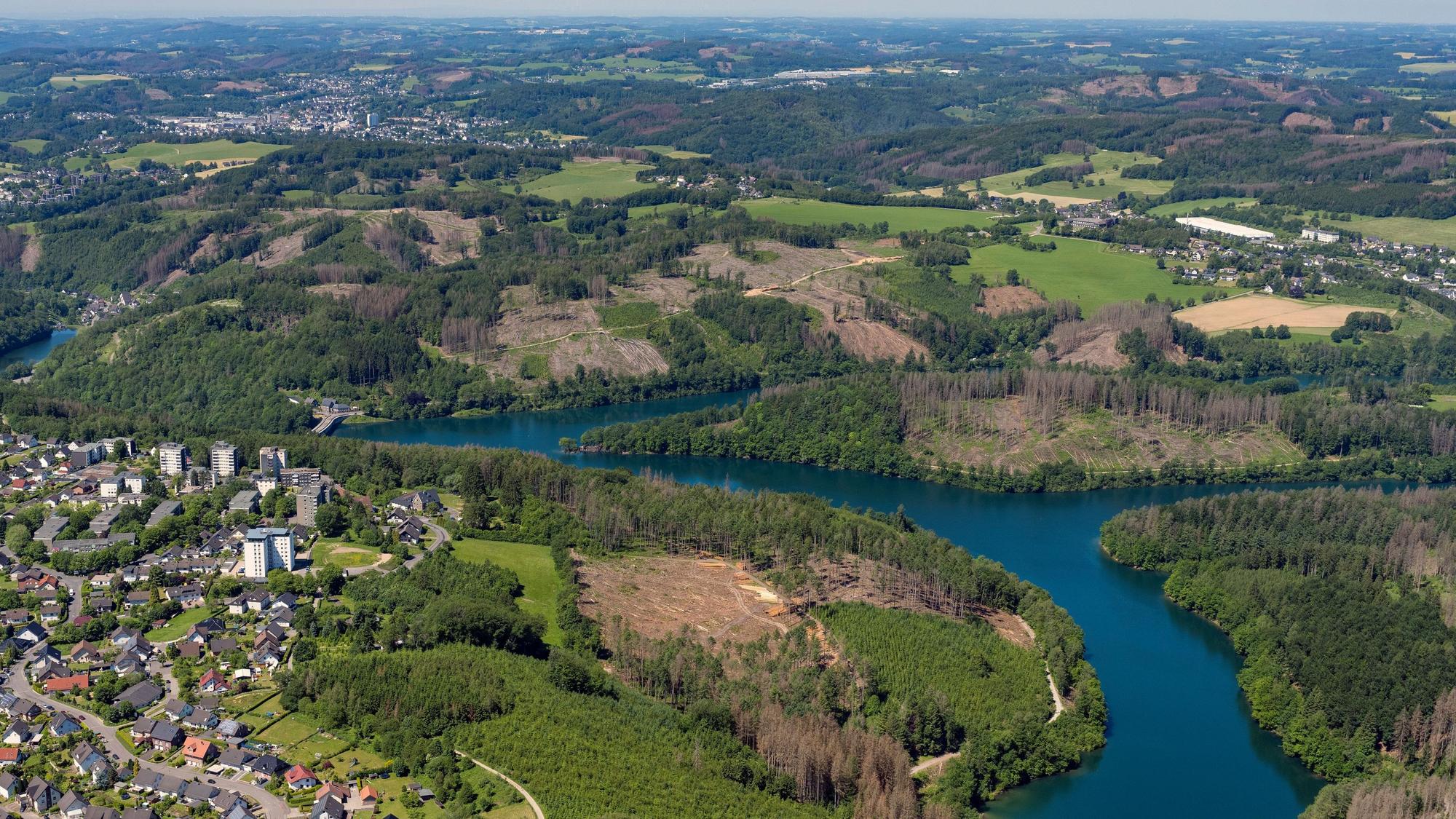 Luftbild von ehemaligen Waldflächen.