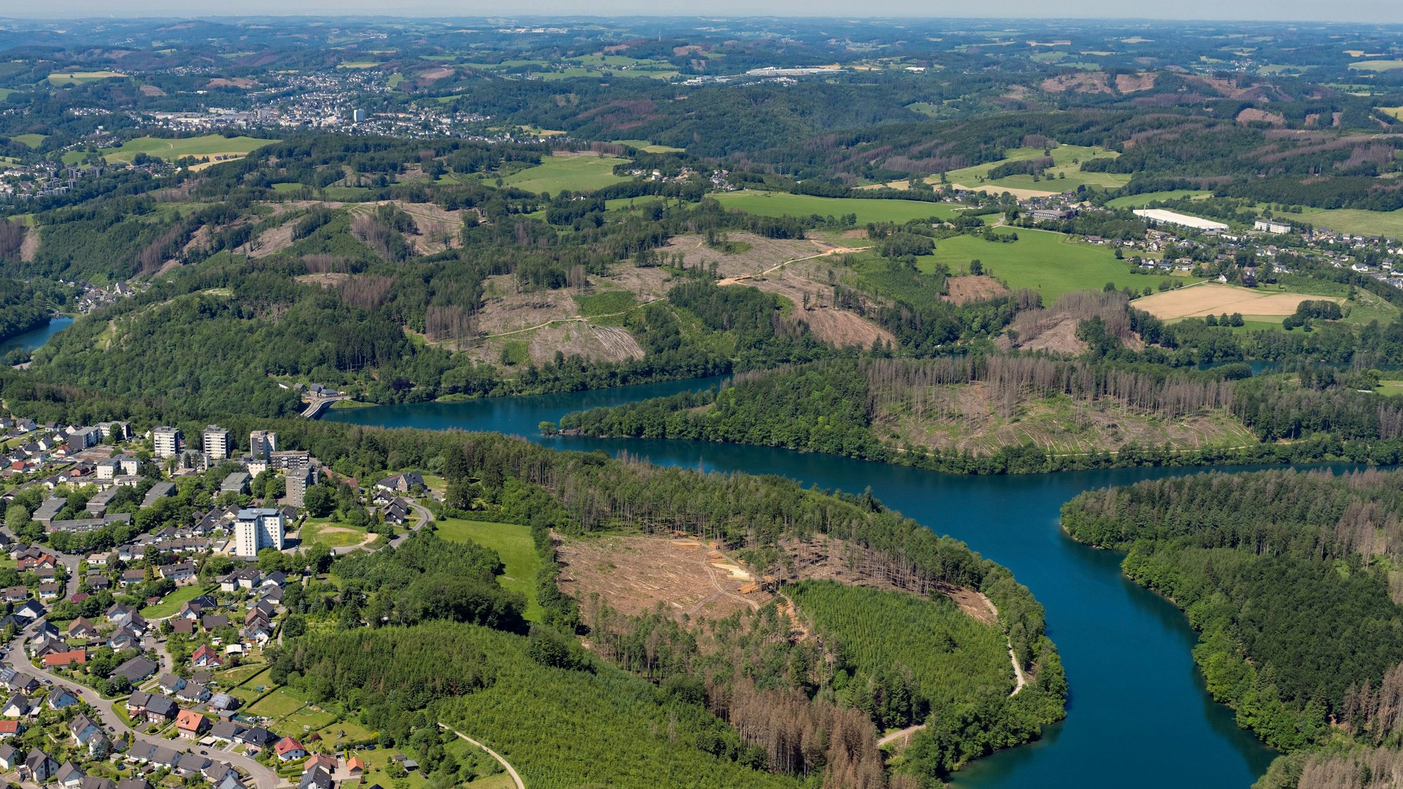 Luftbild von ehemaligen Waldflächen.
