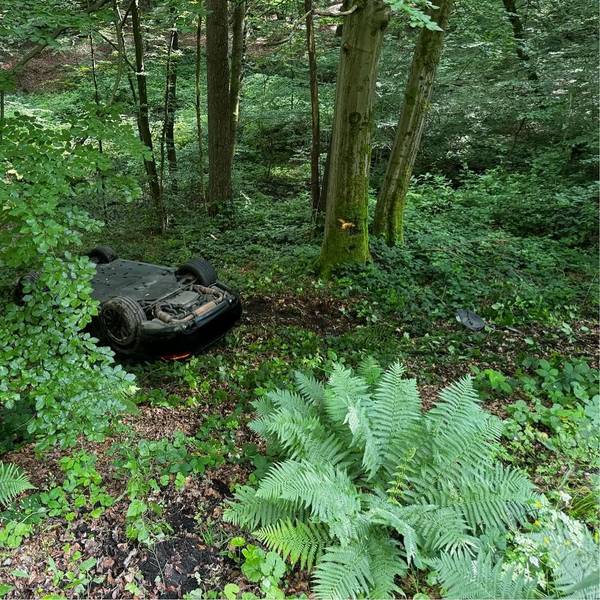 Ein schwarzer Porsche liegt auf dem Dach im Wald.