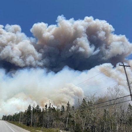 Rauchwolken türmen sich auf. Im Vordergrund sieht man eine Straße, die durch einen Wald führt.