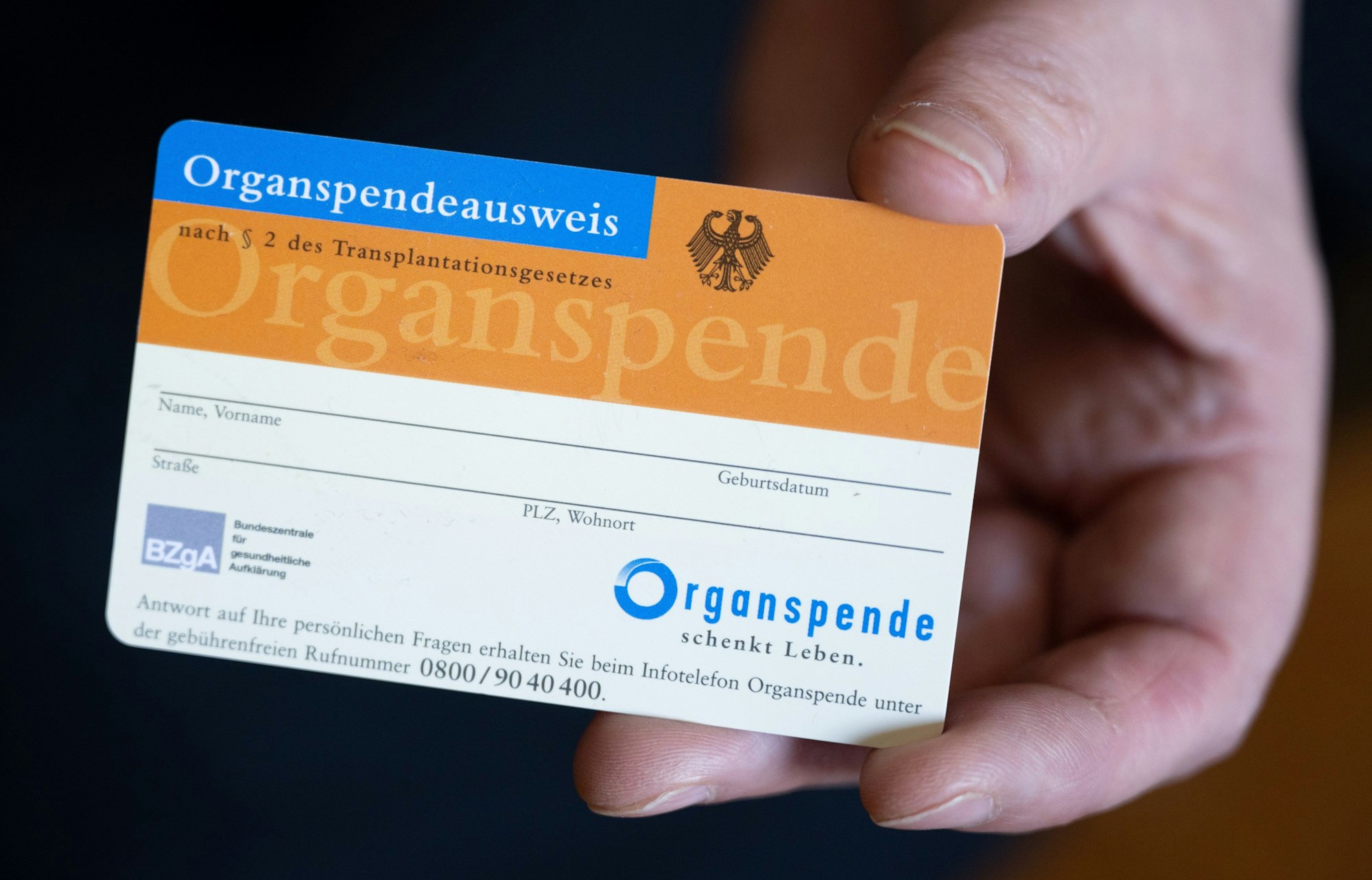 Eine Frau hält einen Organspendeausweis in der Hand.