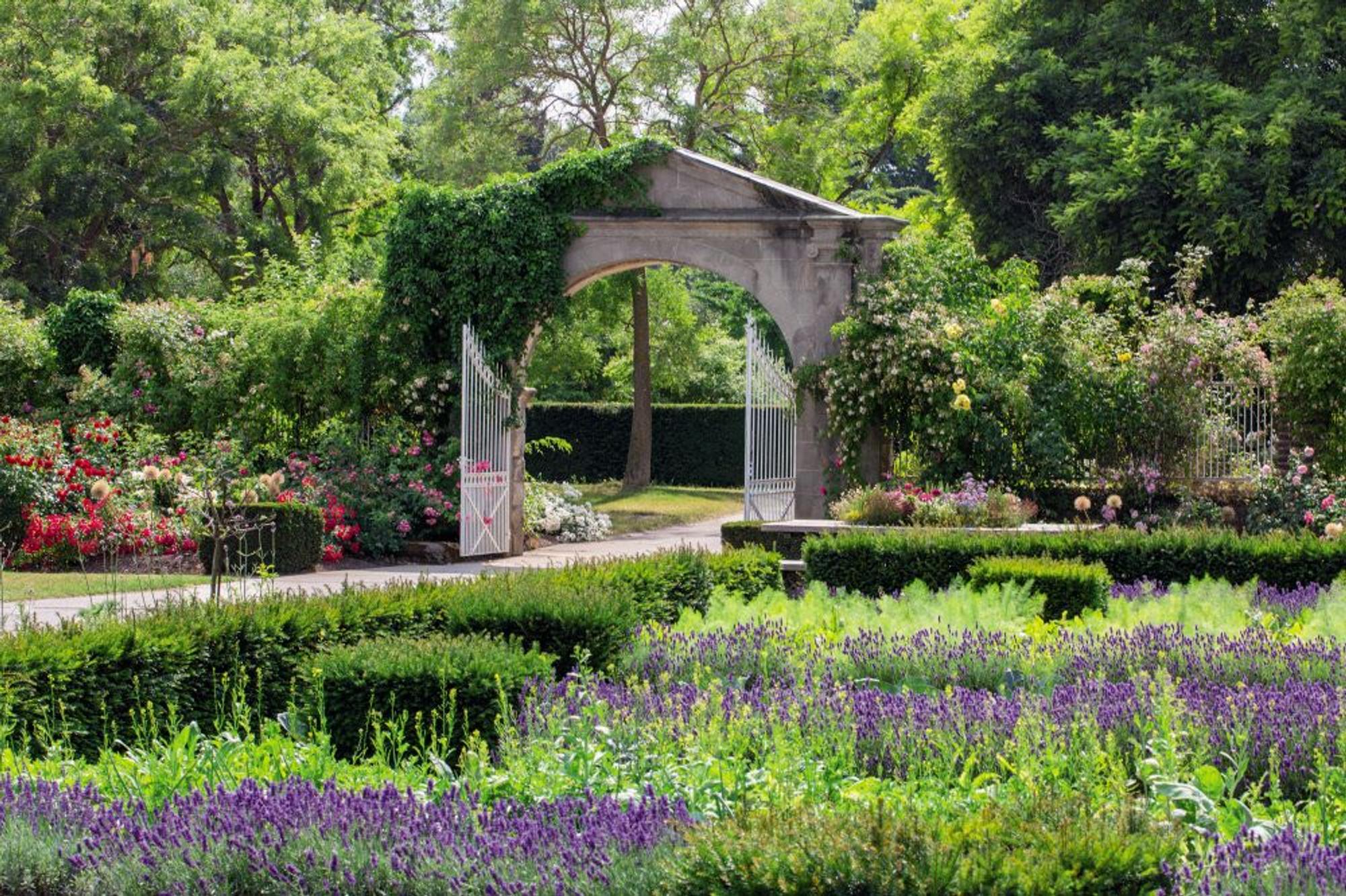 Einladend: der Küchengarten von Schloss Dyck in Jüchen. Fast meint man, den duftenden Lavendel zu riechen.