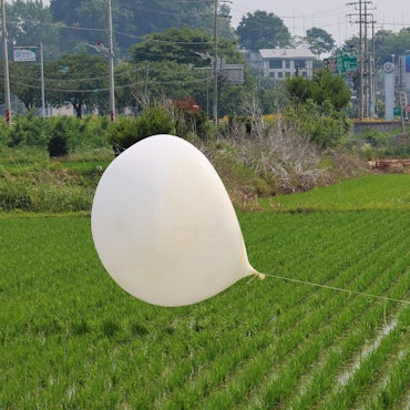 Einer der Hunderten von mit Müll gefüllten Ballons, die Nordkorea über Nacht fliegen ließ, liegt in einem Reisfeld im nordwestlichen Grenzbezirk Südkoreas. (Archivbild)