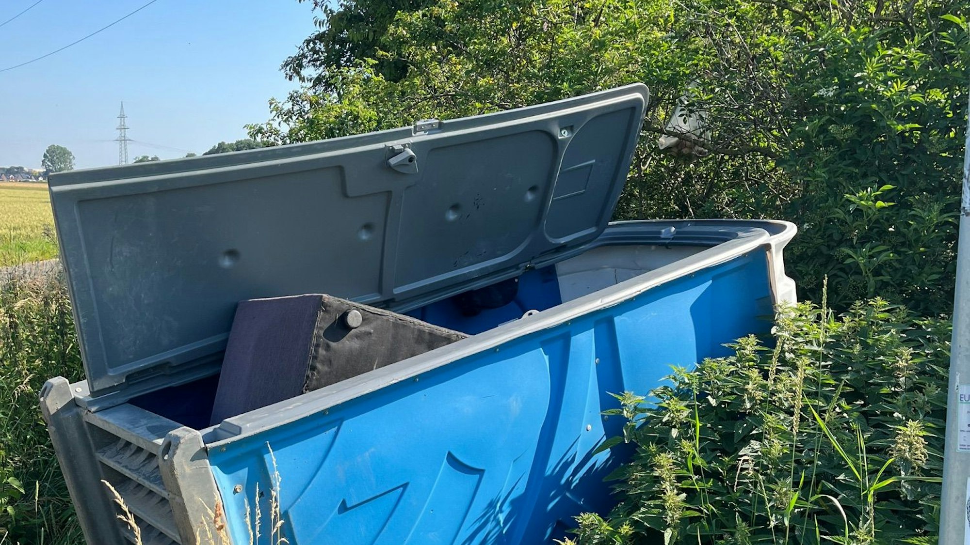 Ein blaues Toilettenhäuschen liegt in einem Gebüsch voller Brennnesseln, aus der Tür ragt ein Sofa hervor.