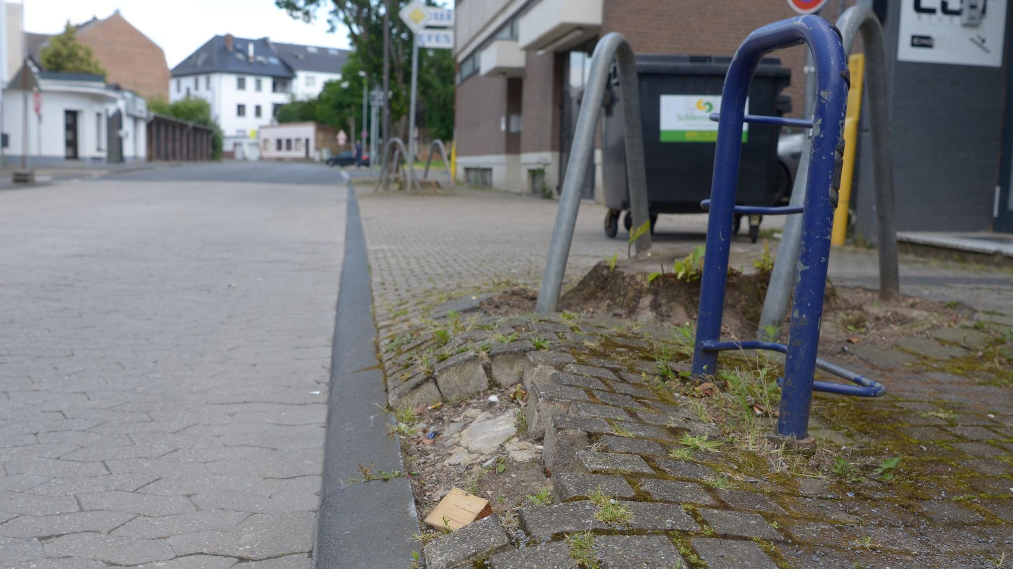 Von den gefällten Platanen in der Mittelstraße sind nur Stümpfe übrig. Das Pflaster des Gehwegs ist marode.