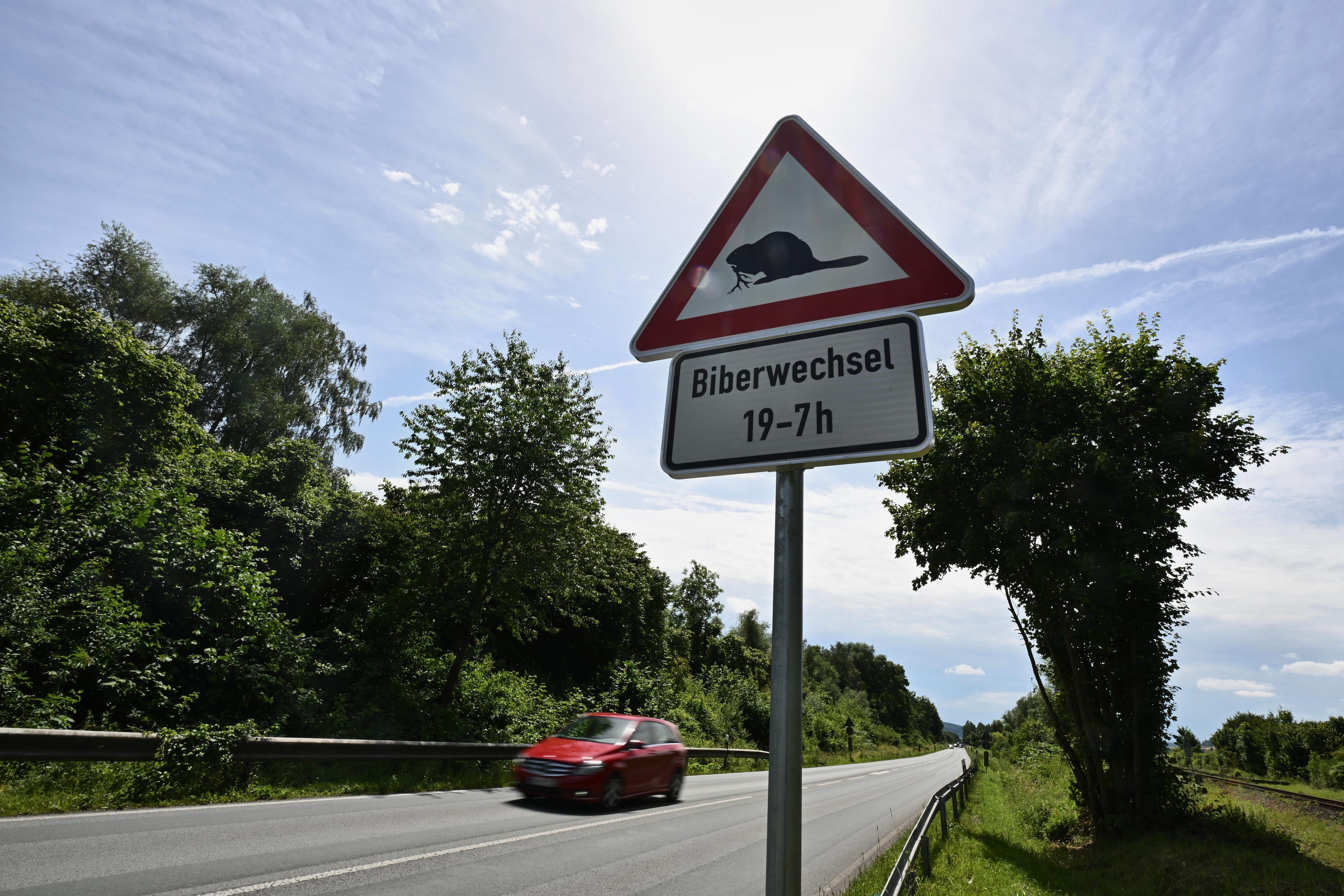 Ein Warnschild weist an der Bundesstraße 64 auf Biberwechsel hin. Die Biberpopulation in Nordrhein-Westfalen wächst.