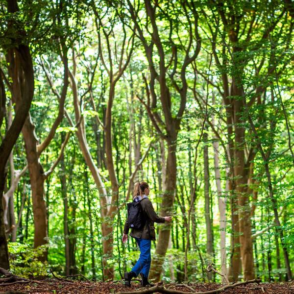 Eine Frau wandert durch einen Wald.