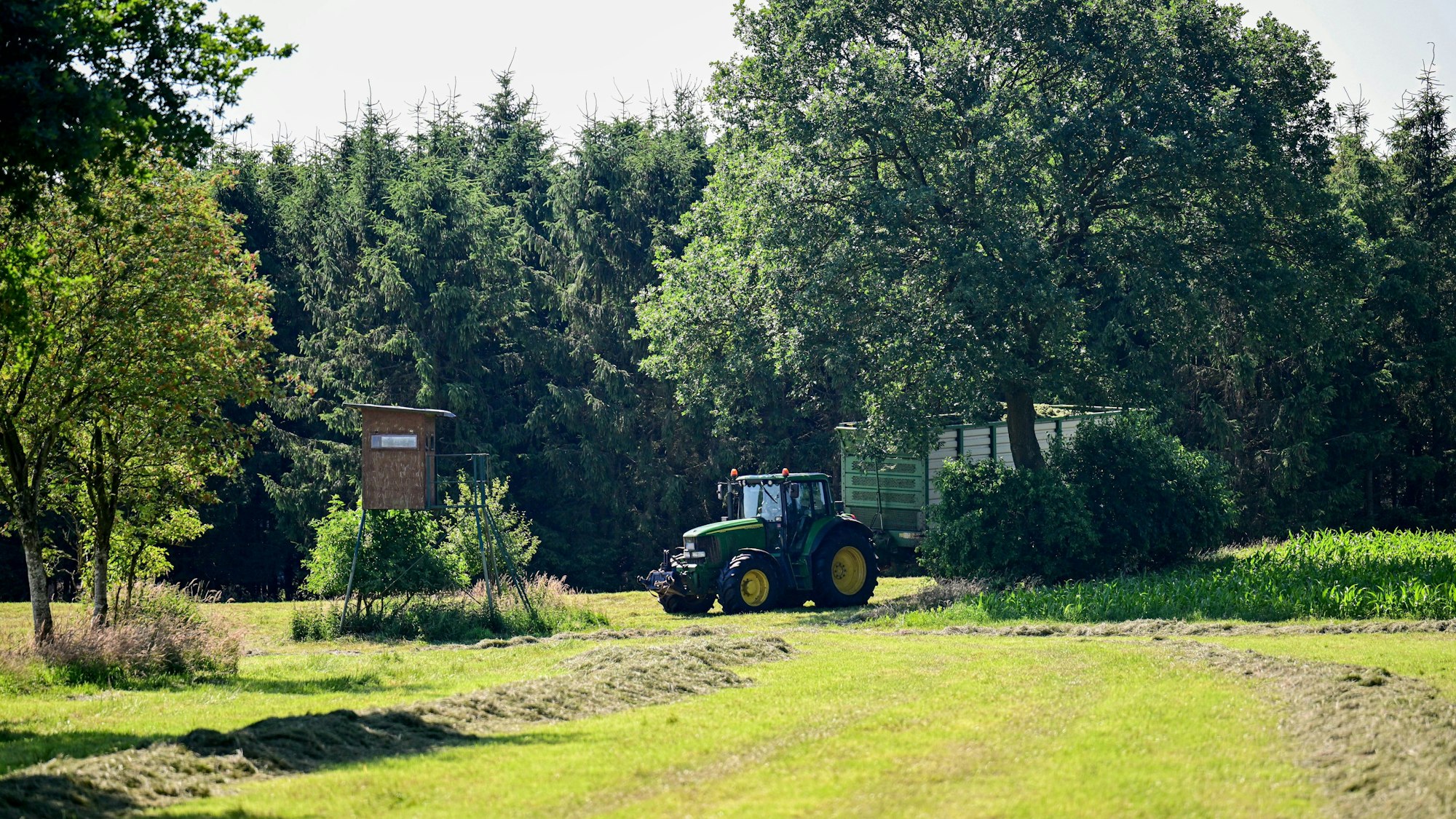 Ein Landwirt fährt mit Traktor über eine Wiese nahe des Fundortes einer Kinderleiche. Über zwei Monate nach dem Verschwinden des sechsjährigen Arian hat ein Landwirt im Norden Niedersachsens bei Mäharbeiten die Kinderleiche gefunden.