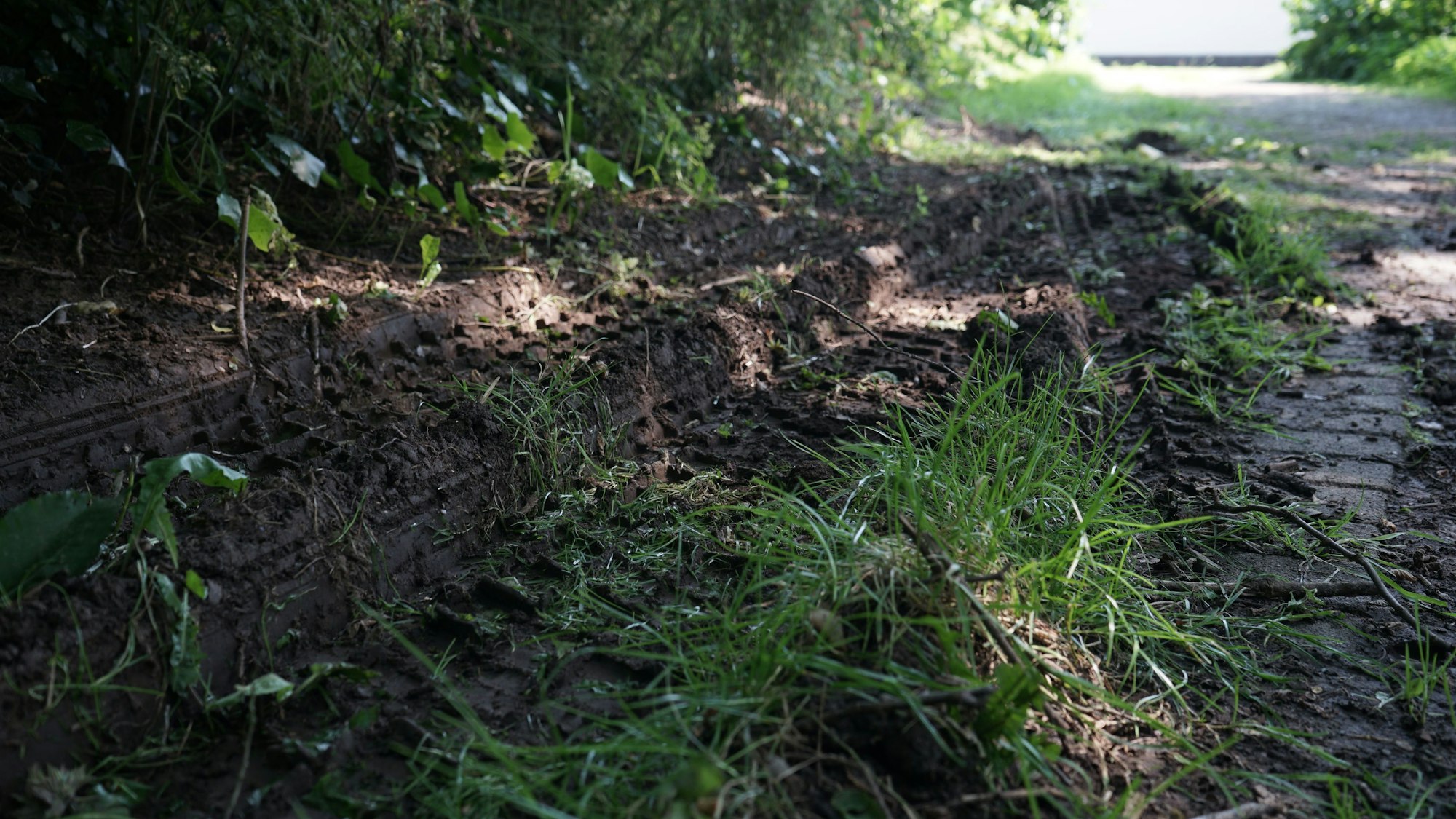 Auf den Wegen im Park sind die Spuren schwerer Fahrzeuge zu sehen.