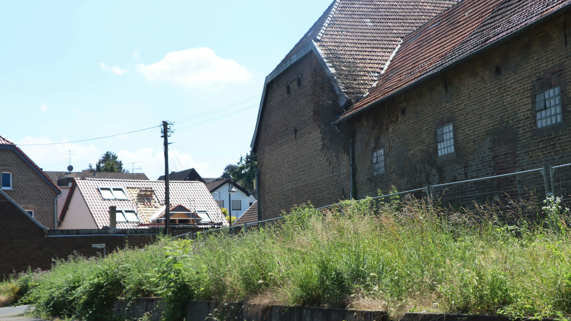 Gestrüpp rings um den Klosterhof in Walberberg