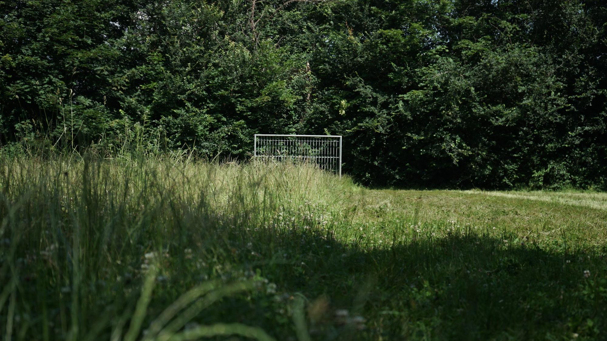 Ein halb gemähter Bolzplatz.