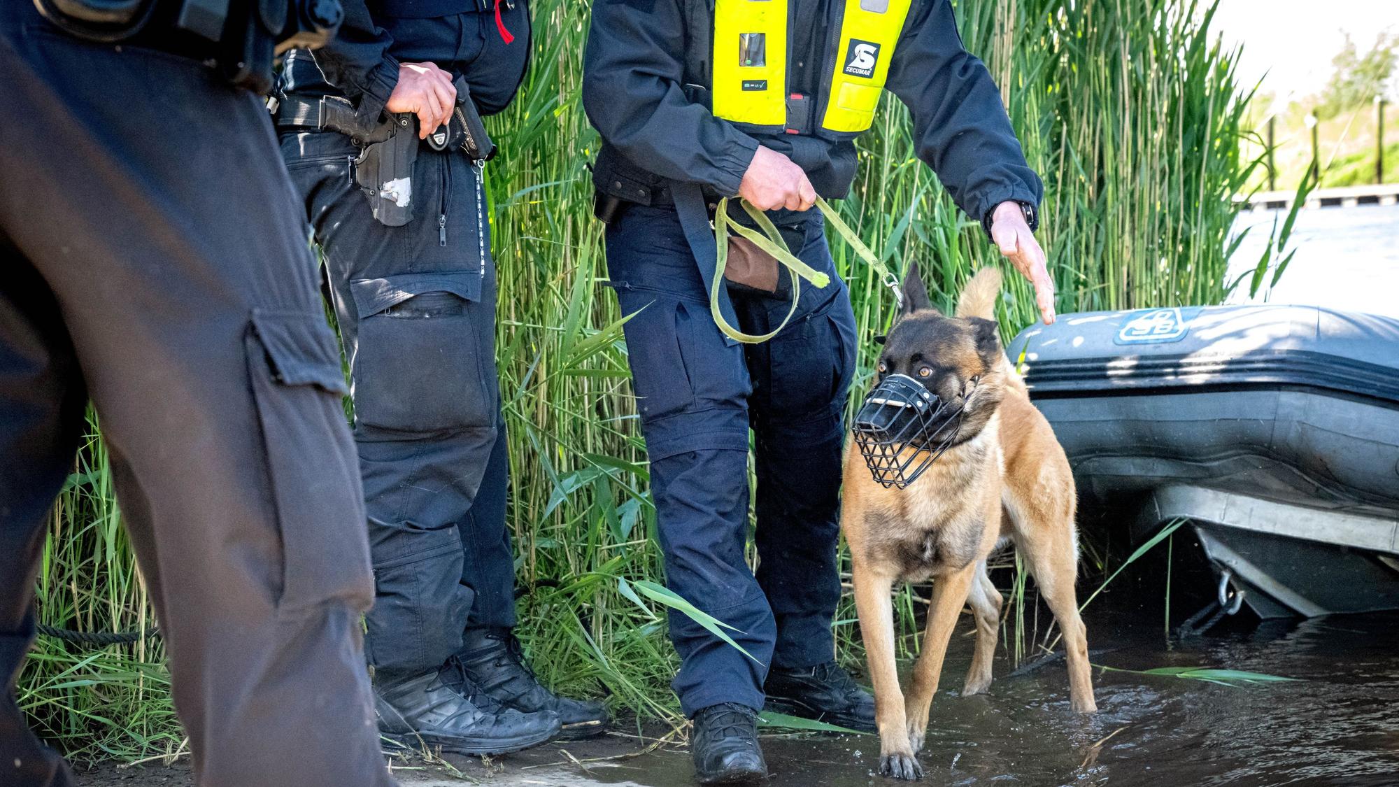 Ein Spürhunde der Polizei beim Einsatz.(Archivbild)