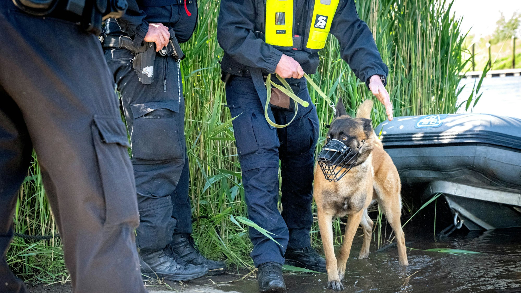 Ein Spürhunde der Polizei beim Einsatz.(Archivbild)