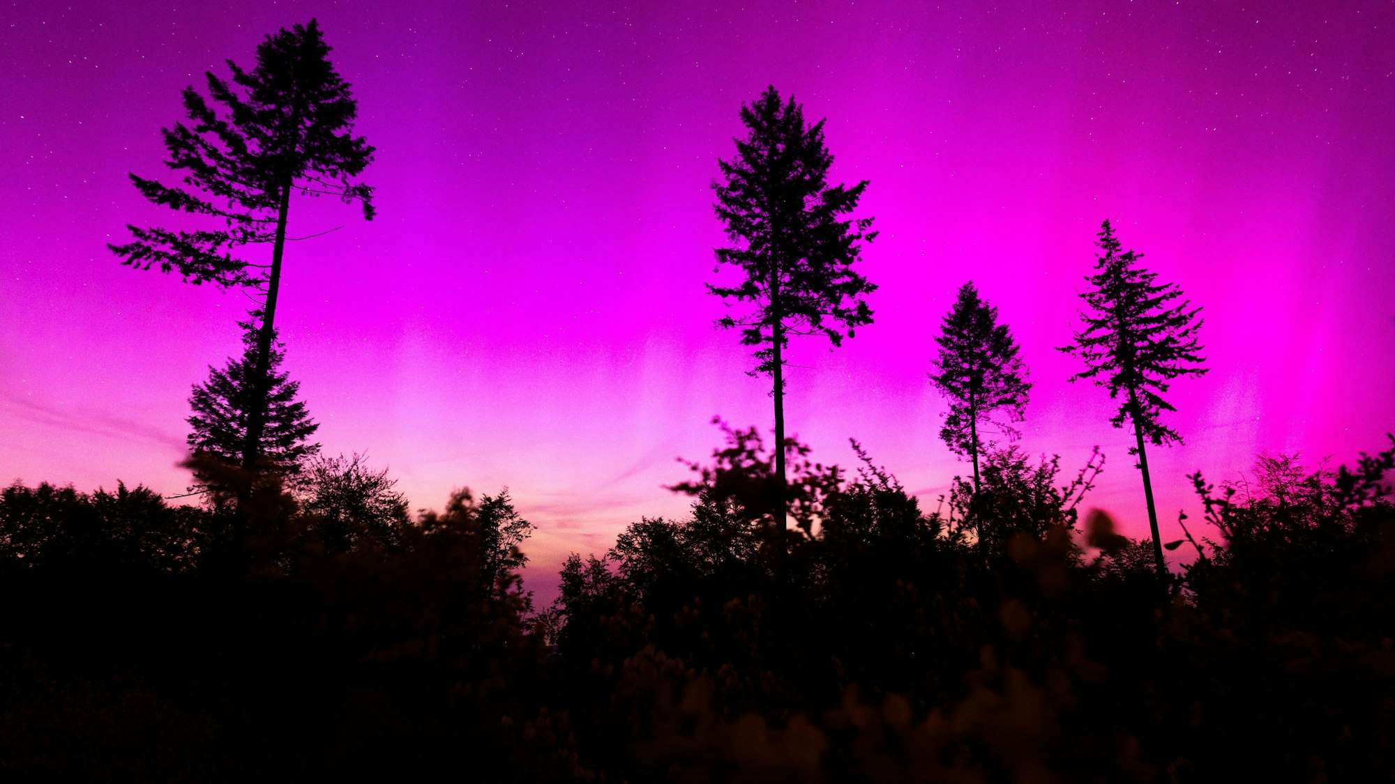 Polarlichter erscheinen am nächtlichen Himmel (Symbolbild)