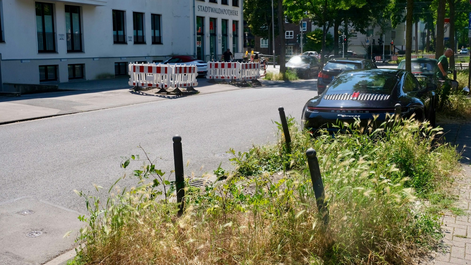 Vor dem Haus an der Wüllnerstraße 128 wurde ein Baum entfernt. Auf der Straßenseite gegenüber vor der Stadtwaldapothene zwei weitere.
