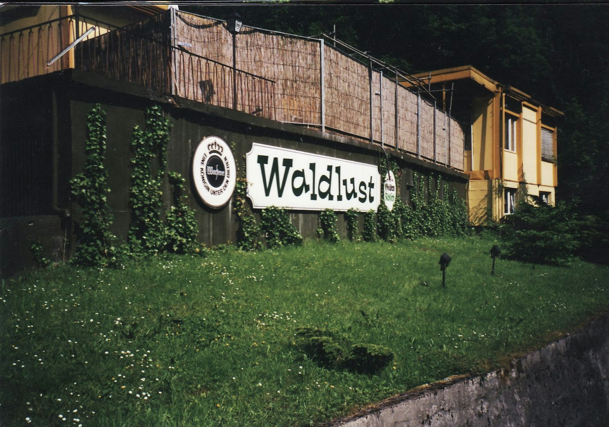 Der Schriftzug Waldlust steht auf einer Mauer bei dieser Nachtaufnahme.