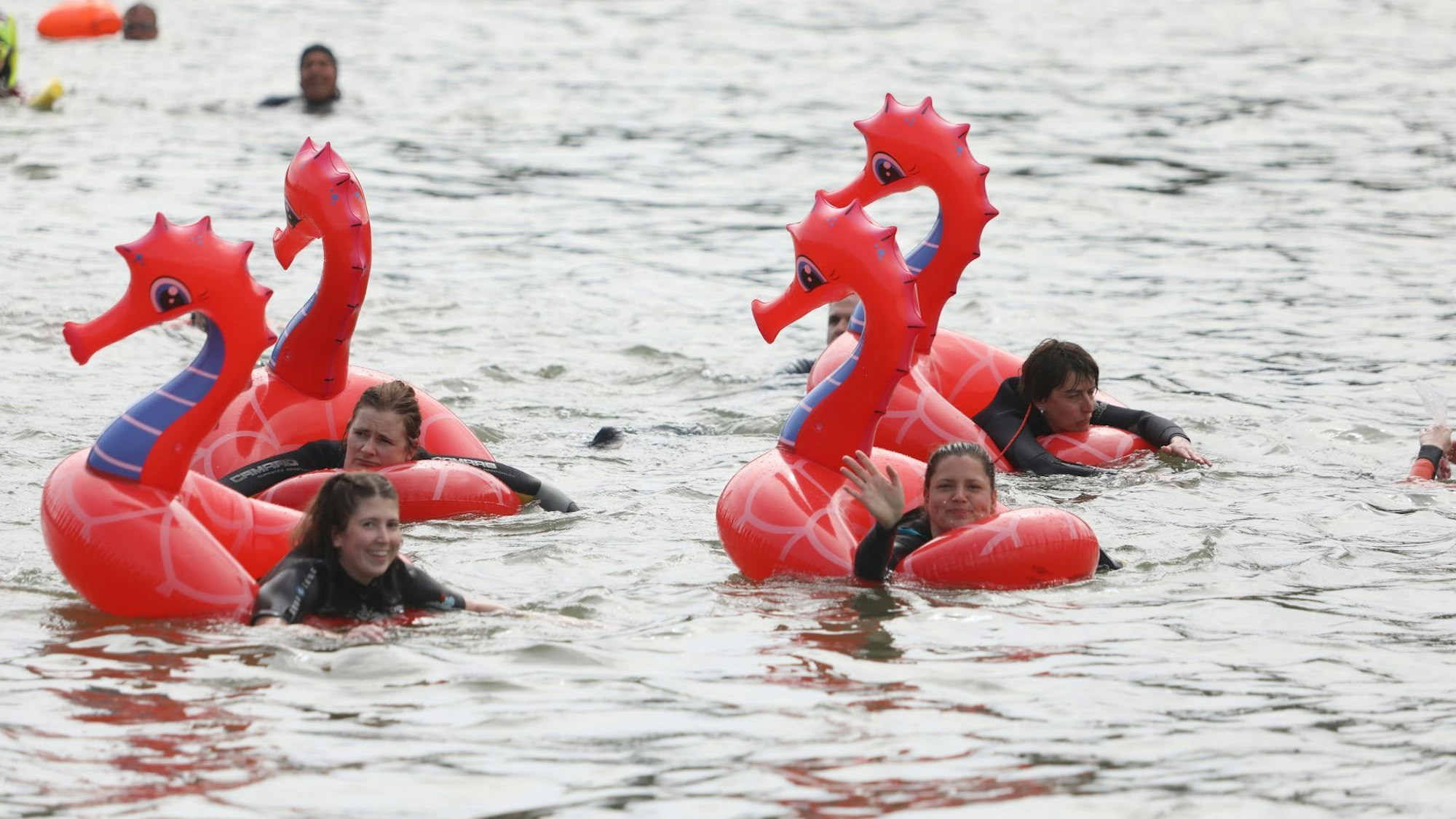 Vier Frauen in Schwimmringen, die aussehen wie rosa Seepferdchen, paddeln im Rhein.