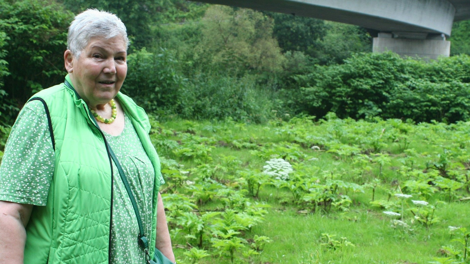 Eine Frau steht an einer Wiese in Windeck, auf der zahlreiche kleine Triebe und Blüten des Riesenbärenklau wachsen.
